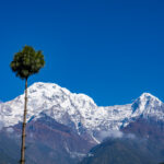 2024-10 - Népal - J04 - De Tolka à Ghandruk - 065